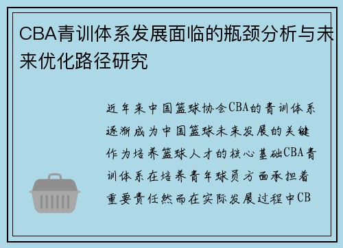 CBA青训体系发展面临的瓶颈分析与未来优化路径研究