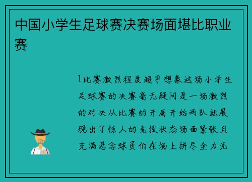 中国小学生足球赛决赛场面堪比职业赛