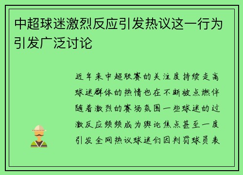 中超球迷激烈反应引发热议这一行为引发广泛讨论